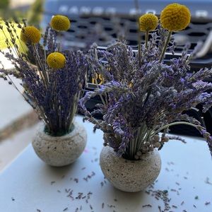 Meet your Posher, Mallory